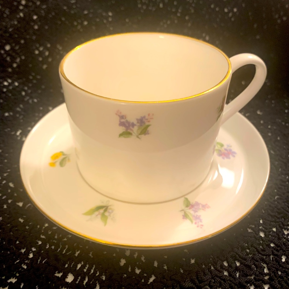Staffordshire fine bone China cup & sauce